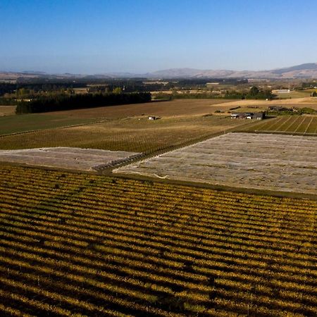 Romantic Vineyard getaway Waipara Dış mekan fotoğraf