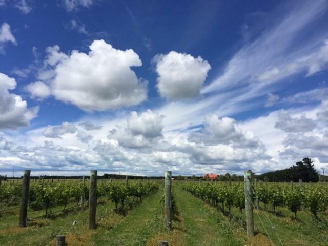 Romantic Vineyard getaway Waipara Dış mekan fotoğraf
