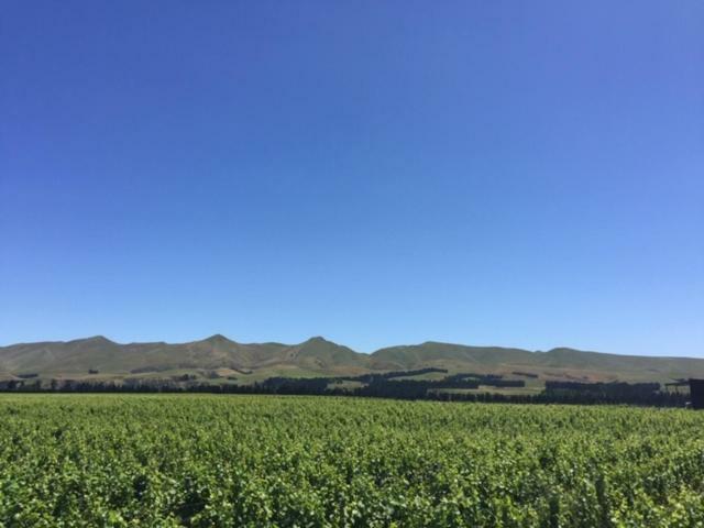 Romantic Vineyard getaway Waipara Dış mekan fotoğraf