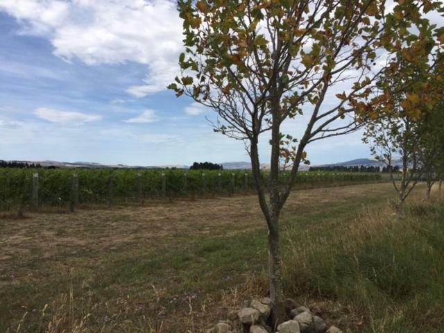 Romantic Vineyard getaway Waipara Dış mekan fotoğraf